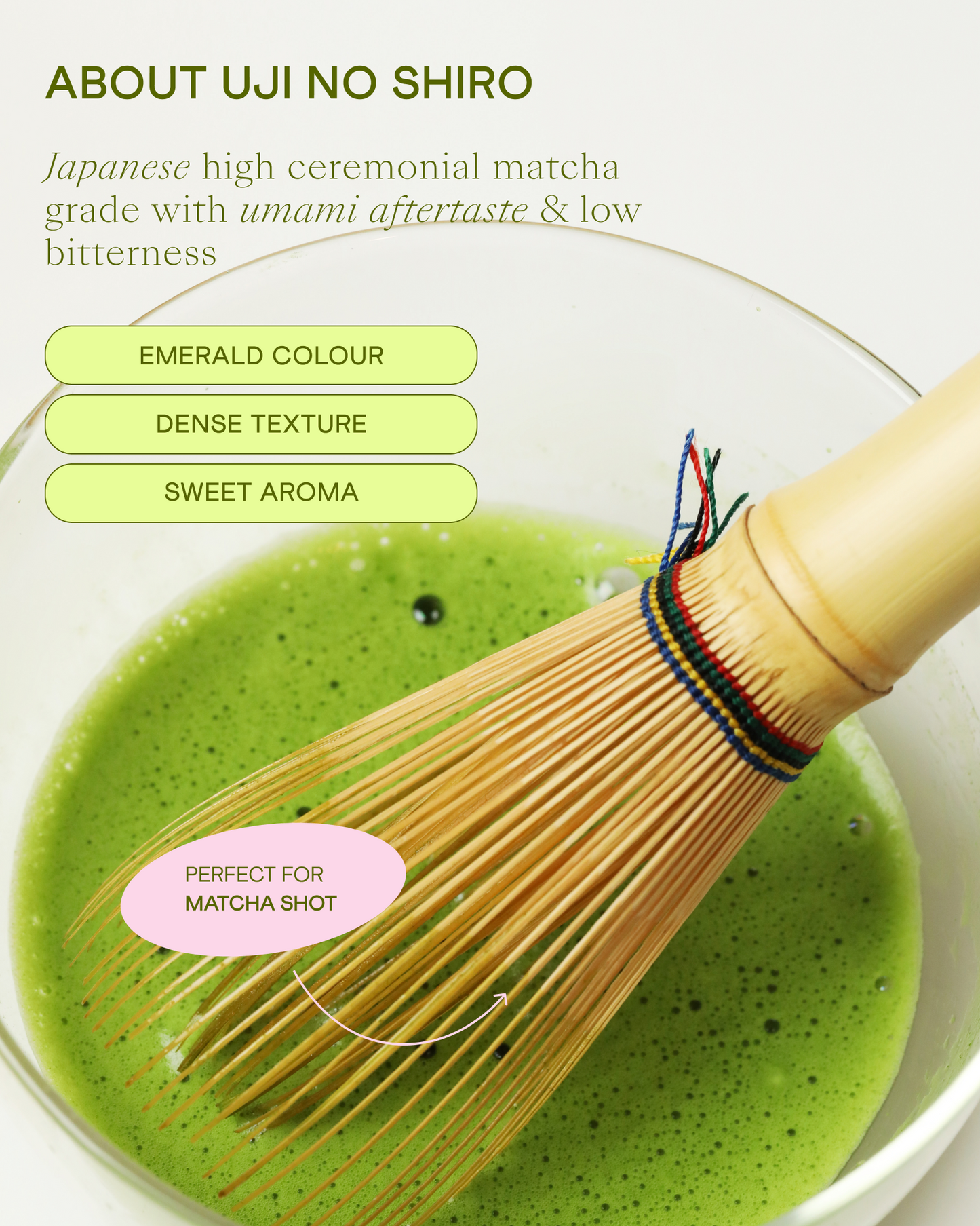 Wholesale Ceremonial Matcha Uji-no-Shiro, 250 g