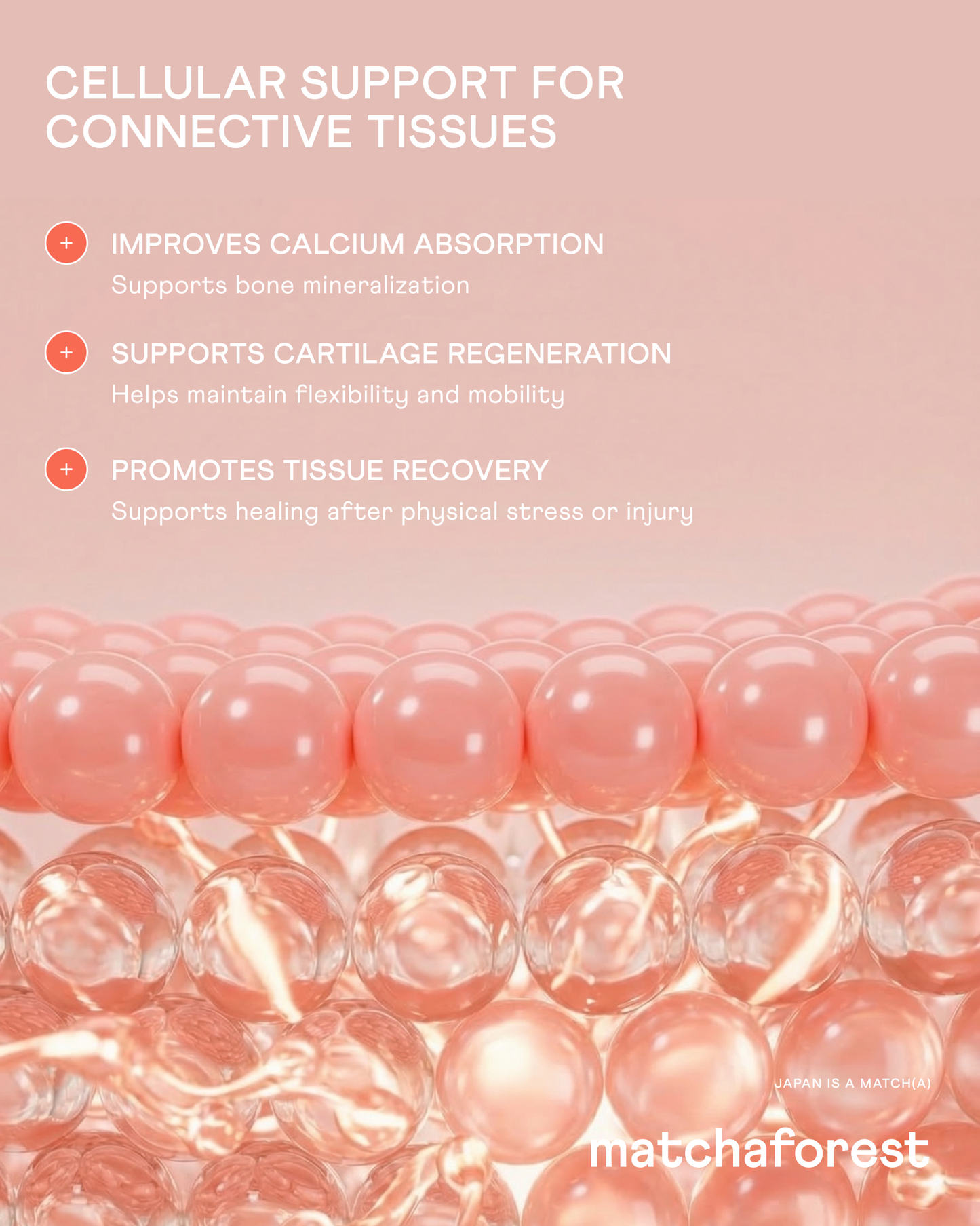 Marine Tripeptide Collagen Powder for Bones + Joints — Box