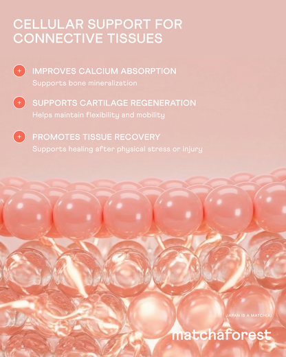 Marine Tripeptide Collagen Powder for Bones + Joints — Box