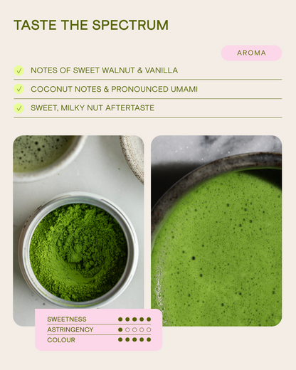 High Ceremonial Matcha Shio, 20 g (Yanoen)