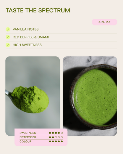 Wholesale Ceremonial Matcha Uji-no-Shiro, 250 g