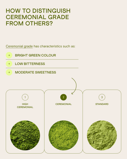 Wholesale Ceremonial Matcha Miyabi-no-Shiro, 250 g