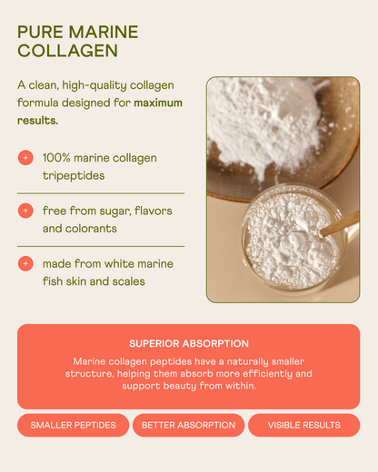 Marine Tripeptide Collagen Powder for Bones + Joints — Box