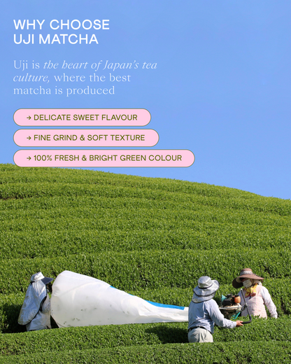 Wholesale Ceremonial Matcha Miyabi-no-Shiro, 250 g