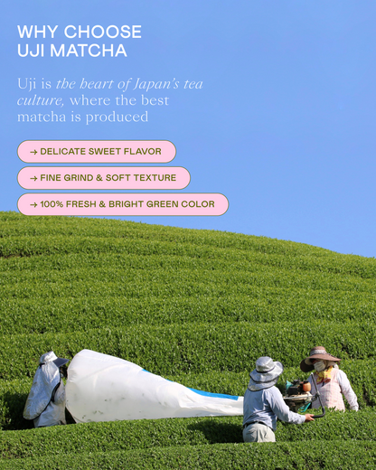 Wholesale Standard Matcha Powder №1, 250 g