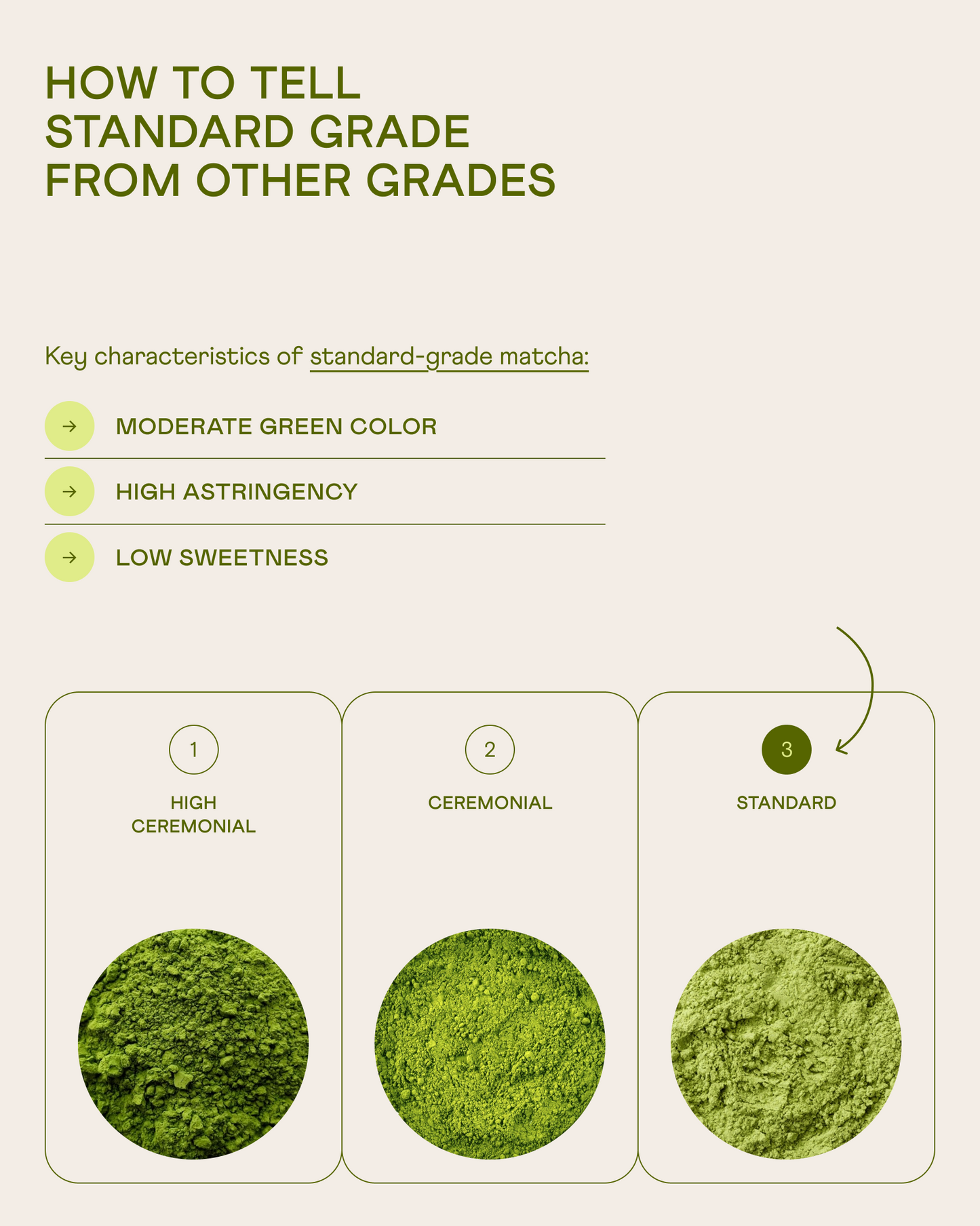 Wholesale Standard Matcha Powder №1, 250 g