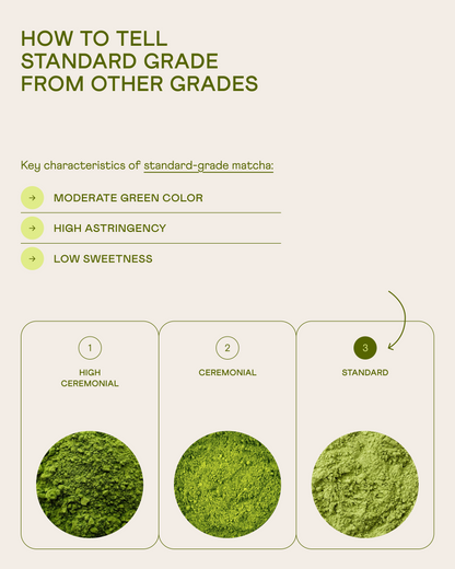 Wholesale Standard Matcha Powder №1, 250 g