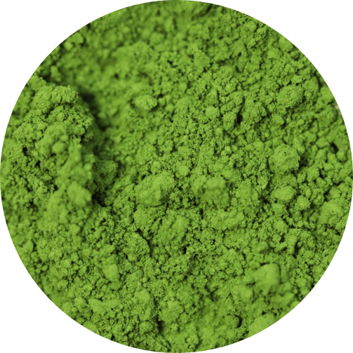 Close-up of ceremonial matcha green tea powder showcasing its bright green color from Uji, Kyoto by Matcha Forest
