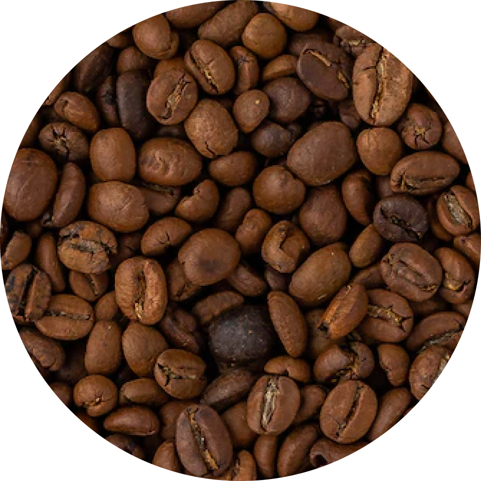 Close up of coffee beans