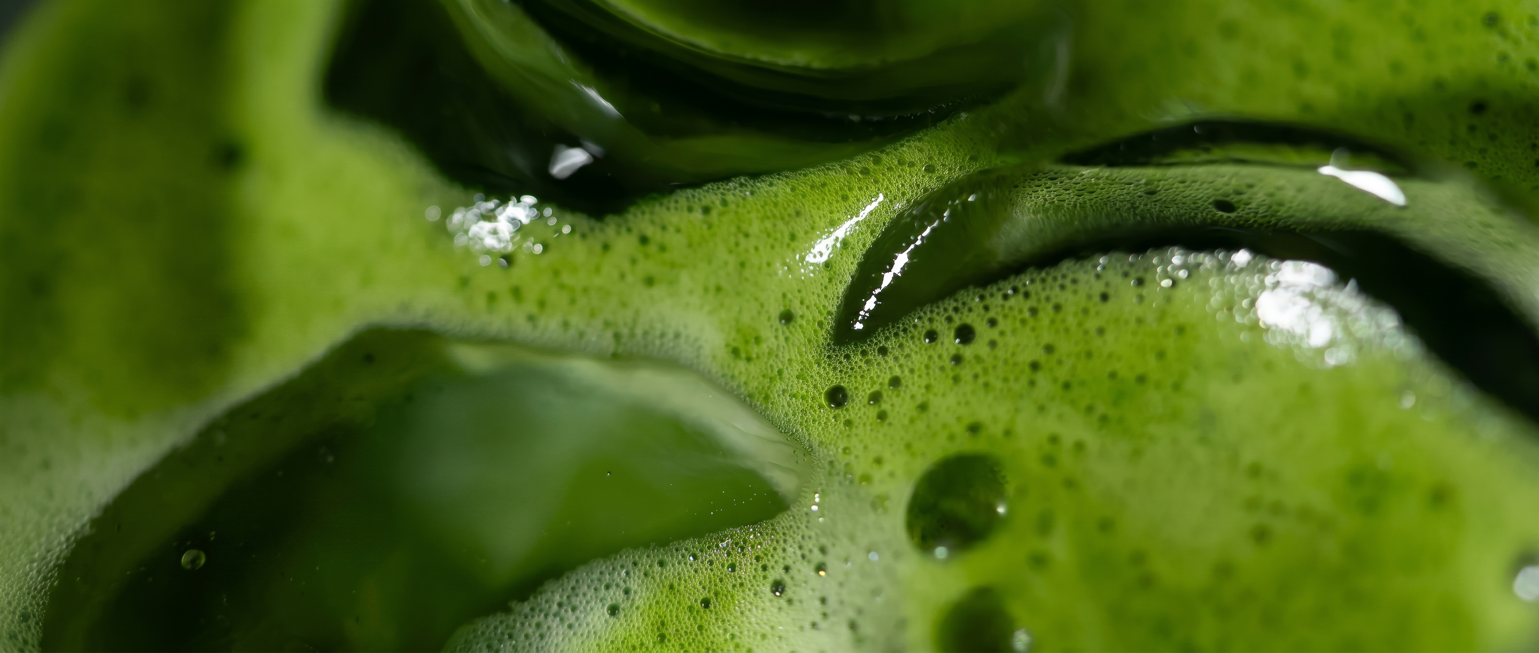 Extreme close-up of iced matcha latte