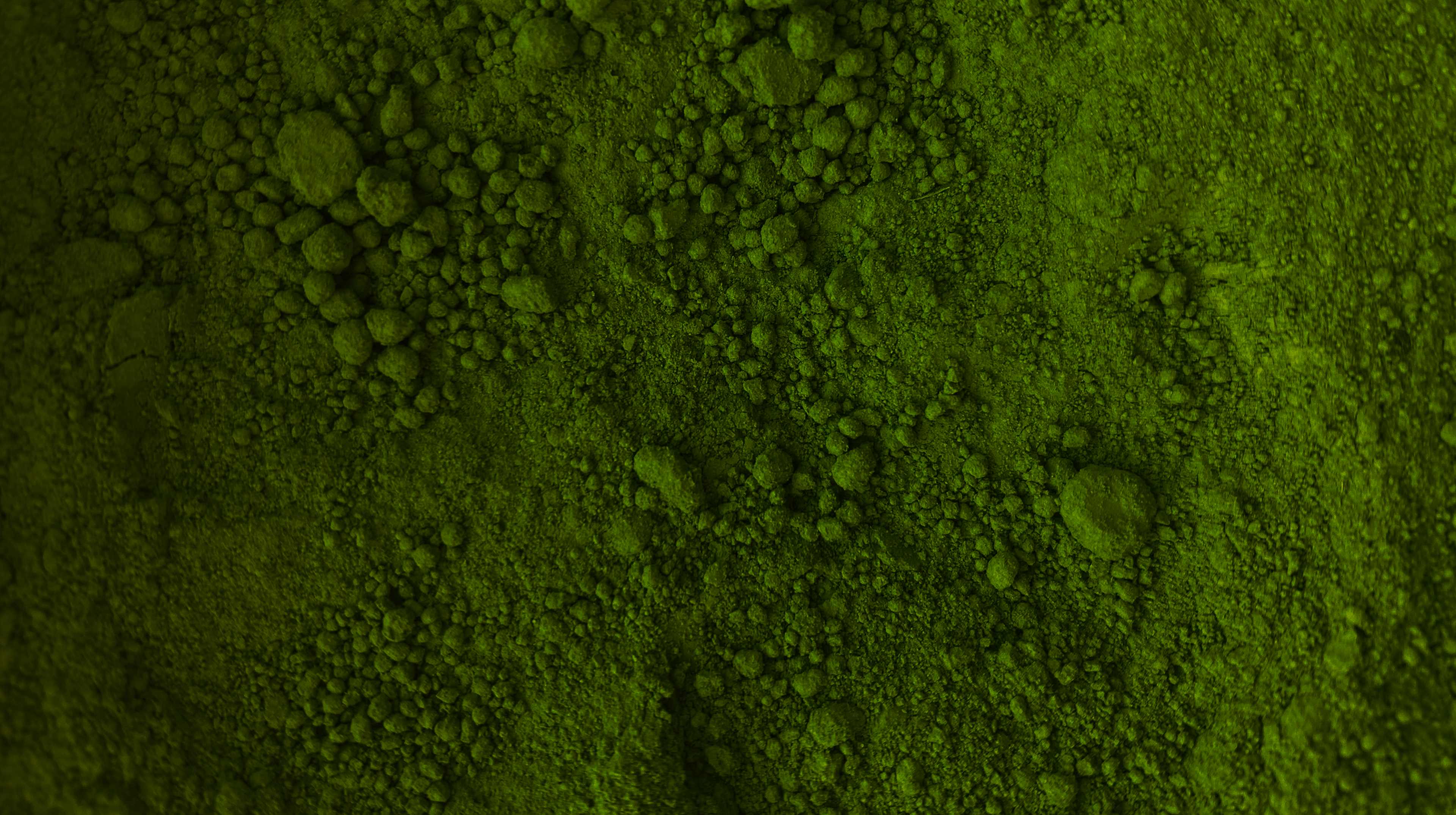 Close-up of ceremonial matcha green tea powder from Uji, Koto by Matcha Forest