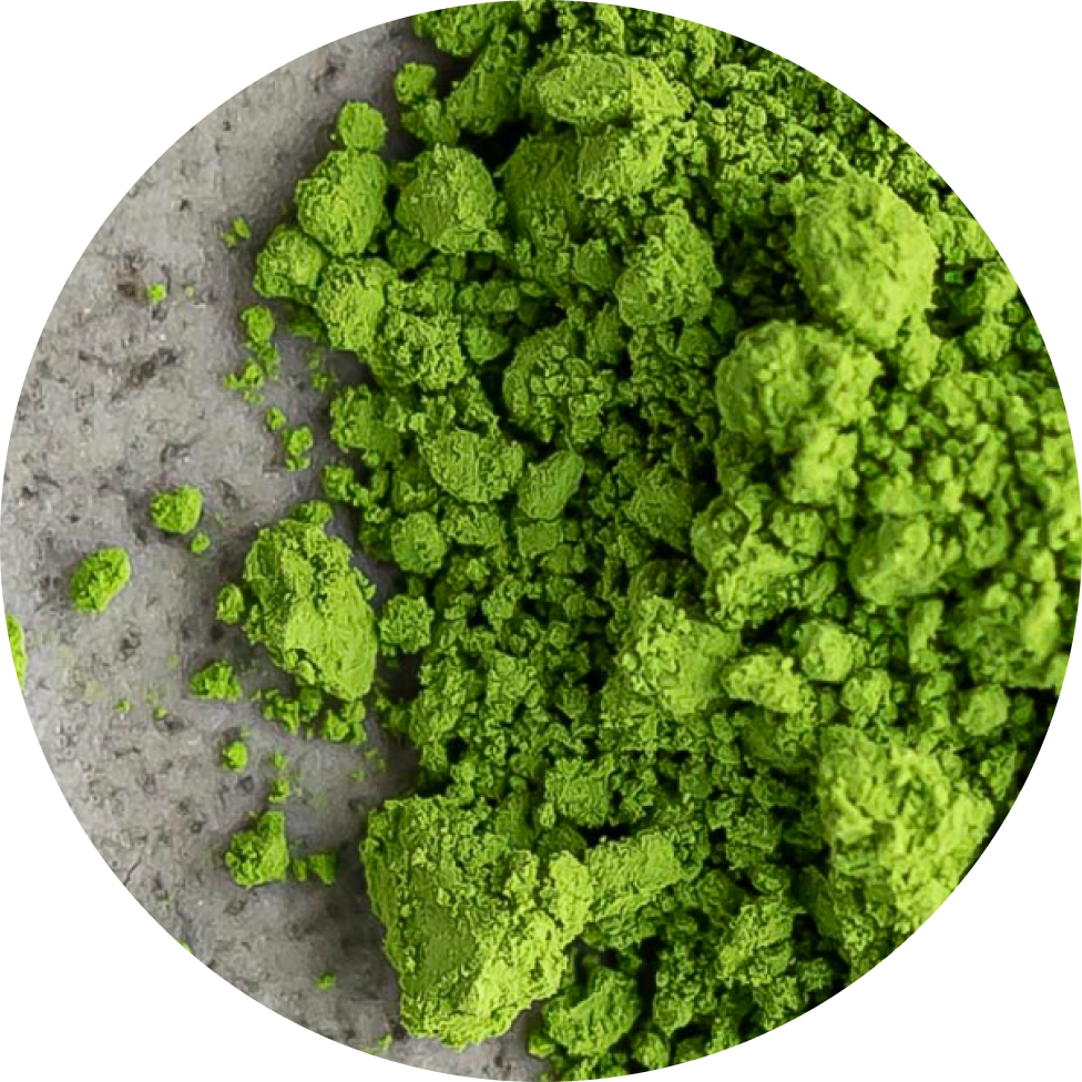 Extreme close-up of matcha green tea powder from Uji, Kyoto by Matcha Forest on a textured grey background