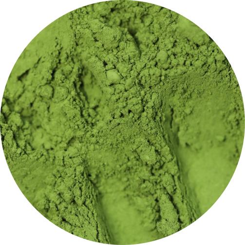 Close-up of standard matcha green tea powder showcasing its natural green color from Uji, Kyoto by Matcha Forest