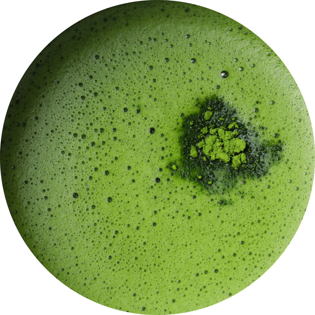 A circular close-up of bright green matcha foam with fine bubbles